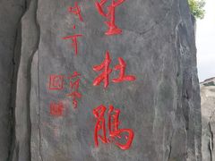 -梧桐山风景名胜区