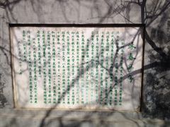 -北京鹫峰国家森林公园