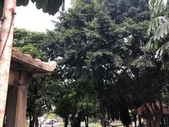 -江头公园