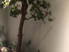 -万荣烤鸭店·北京菜(天坛店)