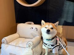 -沈阳铁西万象汇