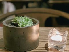 -Apollo·西班牙小酒馆(安福路店)