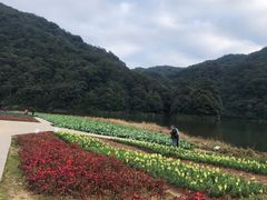 -广州市石门国家森林公园