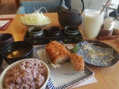 -堂本家洋食别馆·炸猪排(中心城店)