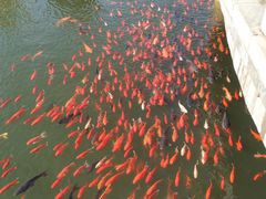 -威海华夏城景区