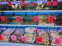 -金海湾海鲜排档(朱家尖店)