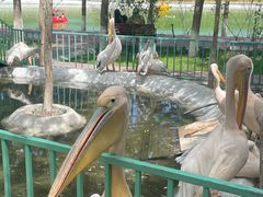 -水上乐园·欢乐世界