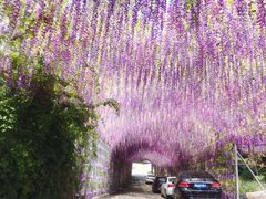 -山乡农家院(海淀区西北旺店)