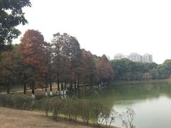 -东莞植物园