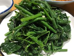 木姜油丝瓜尖-金悦印象小馆(三里河店)