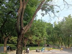 -南长河公园