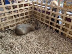 -尚泰清迈机场购物中心