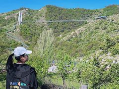 -中华福寿山
