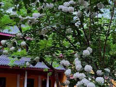 -灵隐飞来峰景区