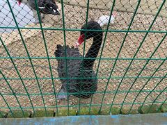 -武汉紫薇都市田园