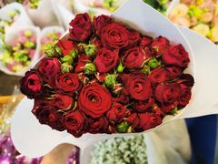 -三圣花乡旅游区