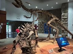 -自贡恐龙博物馆