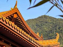 -深圳仙湖植物园