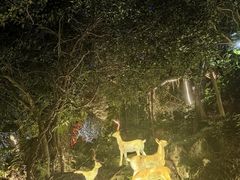 -鹿回头风景区