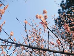 -白塘生态植物园