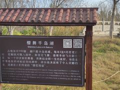 -金卉庄园