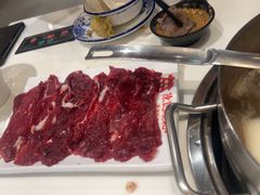 -陈记顺和潮汕牛肉火锅(韩江路店)