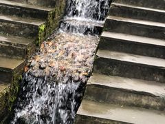 -四川省成都市彭州市白鹿镇