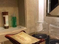 -常州武进九洲喜来登酒店