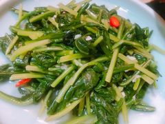 水豆豉炝板蓝根-云上千禾(水上店)
