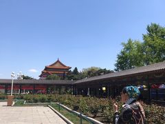 景点-朝阳公园