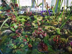 -国家植物园南园