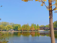-石家庄市植物园
