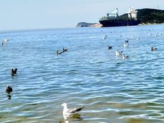 -海驴岛(荣成市)