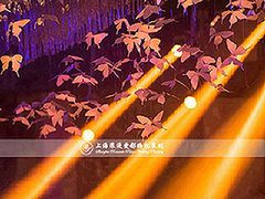 上海浪漫爱都婚礼策划-上海波特曼丽思卡尔顿酒店