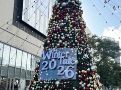 -东莞松山湖万象汇