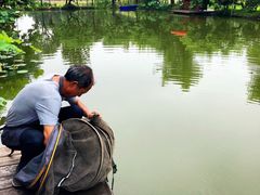 -洪湖家庭农场·团建·露营·会议