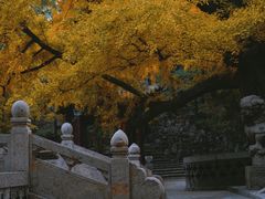 -晋祠公园