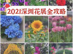 -深圳市中科院仙湖植物园
