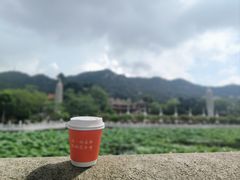 -南普陀寺