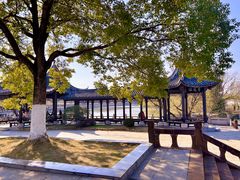 -八大山人梅湖景区