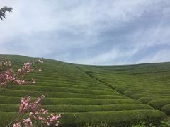 -四明山国家森林公园