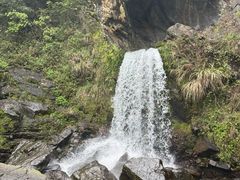 -石台牯牛降景区