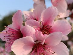 -漫渡庄绿岛花园•隐世庭园菜(滨湖店)