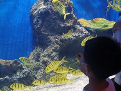 -华夏文旅西安度假区