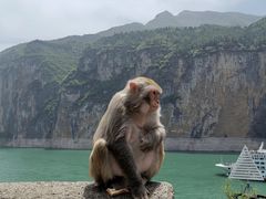 -白帝城·瞿塘峡景区