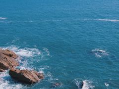 -广东惠东海龟国家级自然保护区