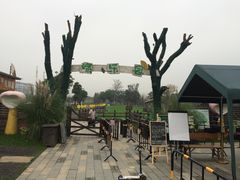 -田园东方蜜桃村的田野营地