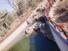 -迎泽公园