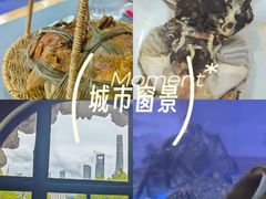 -新光酒家·河豚·海鲜·蟹料理(浦东店)
