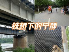 -长白岛森林公园